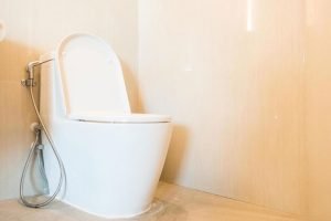 toilet bowl choke
